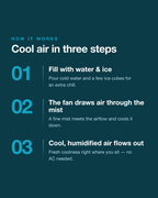 AirFlow 3-in-1 portable air cooler