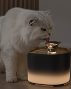 2-2l-cat-water-fountain-ultra-quiet-usb-rechargeable