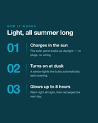 Solar LED festoon string lights