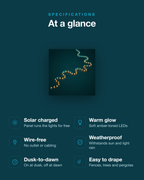 outdoor-solar-led-string-lights-for-warm-garden-ambiance