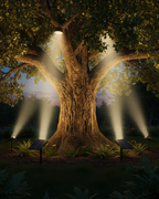 solar-stake-spotlights-set-of-4-outdoor-garden-lights