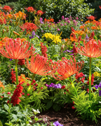 decorative-floral-solar-garden-lights-set-of-2