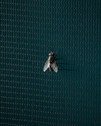magnetic-mesh-door-screen-hands-free-insect-protection