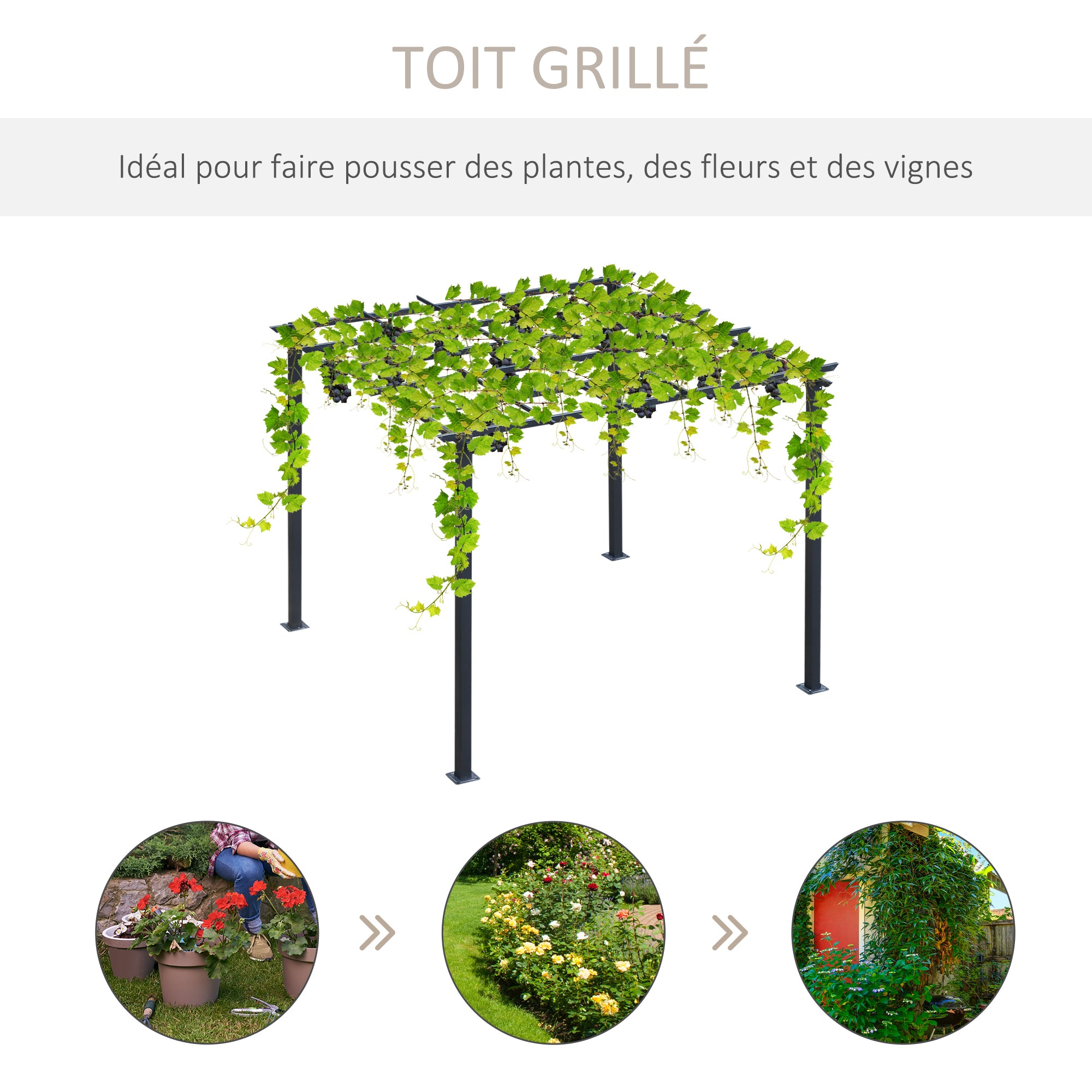 Solarias Pergola autoportante Style Contemporain - Toit terrasse à décorer - dim. 3L x 3l x 2,3H m - métal époxy anticorrosi
